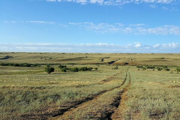 Калмыкия